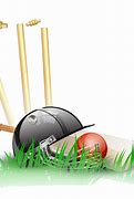 Image result for Cricket Bug Clip Art PNG