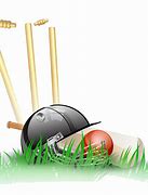 Image result for Cricket Bat Vector