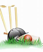 Image result for Cricket Logo Without Background