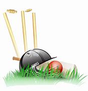 Image result for Cricket Bat and Ball Cartoon with No Background