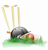 Image result for Cricket Background.png