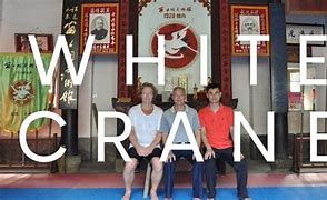 Image result for Wing Chun White Crane