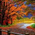 Image result for Fall iPad Wallpaper Free