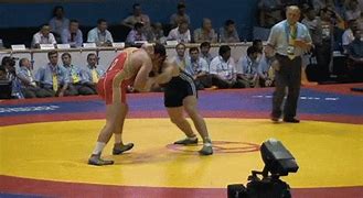 Image result for USA Wrestling Animated