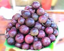 Image result for Sierra Leone Purple Apple