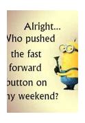 Image result for Amazing Minion Quotes