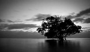 Image result for Clean Black and White Wallpaper