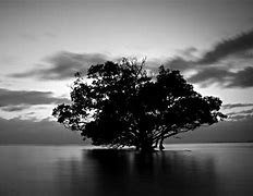Image result for Black and White Wallpaper 1080X1920