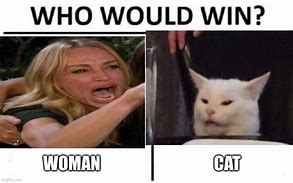 Image result for Woman vs Cat Engineer Meme