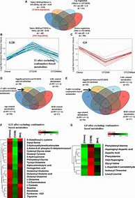 Image result for Type 2 Diabetes Metformin