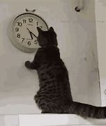 Image result for Slow-Moving Clock Meme