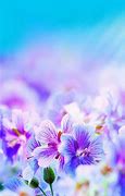 Image result for Really Pretty Backgrounds