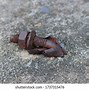 Image result for LED Pipe Corroded