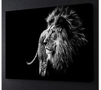 Image result for Black and White Lion Canvas Art