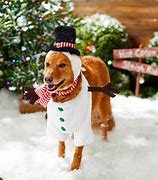 Image result for Snowman Dog