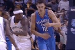 Image result for Zach Randolph