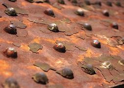 Image result for Corroding Sheets