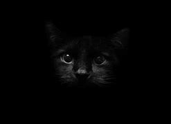 Image result for Aesthetic Dark Cat Pic