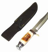 Image result for Colt Fixed Blade Hunting Knives Bone Handle