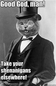 Image result for Shenanigans Cat Meme