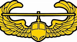 Image result for Army Air Assault Logo