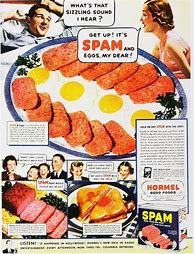 Image result for Spam Photo