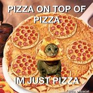 Image result for Vote Pizza Cat Meme