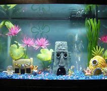 Image result for Spongebob Aquarium Memes