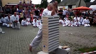 Image result for Bricks Fist Karate