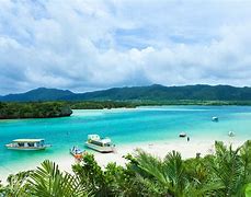 Image result for South Beaches Japan