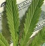 Image result for thc stock