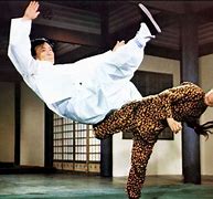 Image result for Female Kung Fu Fighters Short Movie