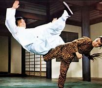 Image result for Deadly Martial Arts Girls