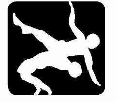 Image result for USA Wrestling Logo Black and White Outline