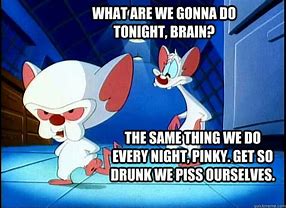 Image result for pinky and the brain memes