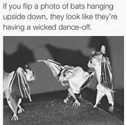 Image result for Bat Crazy Women Memes