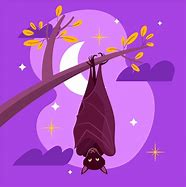 Image result for Single Bat Illustration