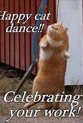 Image result for Cat Dance Meme