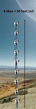 Image result for How Tall Is 40 Meters