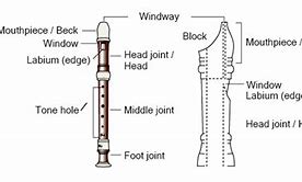 Image result for Recorder Instrument Drawing