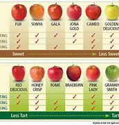 Image result for Apple Size Visual
