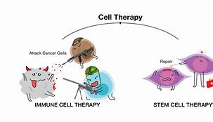 Image result for Cell Recovery Cartoon