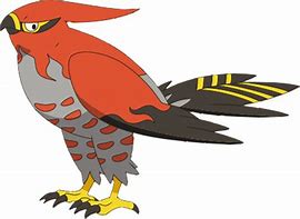 Image result for Pokemon Talonflame
