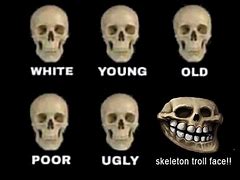 Image result for Troll Face Skull Meme