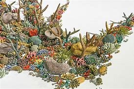 Image result for Coral Art Pieces