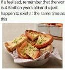 Image result for Canned Bread Meme