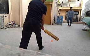 Image result for Roof Cricket