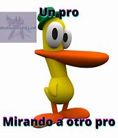 Image result for Pato Macho Windows XP Meme