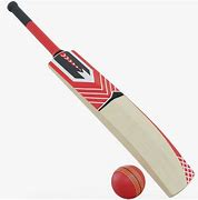 Image result for Cricket Bat Ball