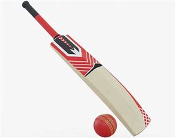 Image result for Cricket Bat Ball